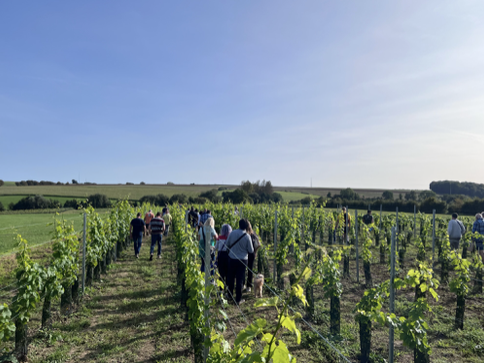 Photo de l'évènement portes ouvertes du Vignoble des Lacs, le 30 septembre 2023