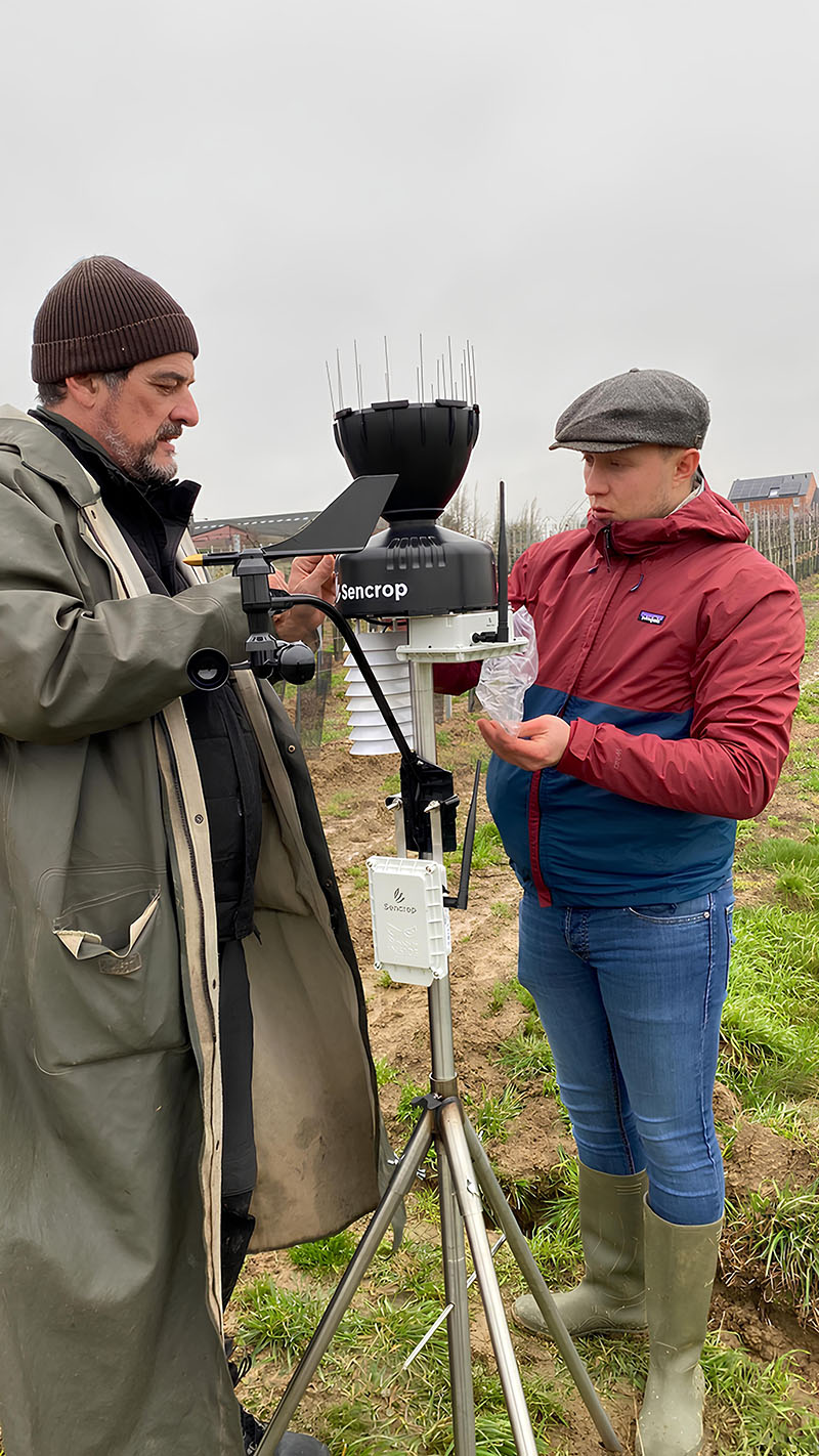 Un vigneron, Denis, installe une station météo dans le vignoble pour surveiller les conditions climatiques, aidé par un collègue, afin de mieux gérer les risques liés au gel et aux maladies.