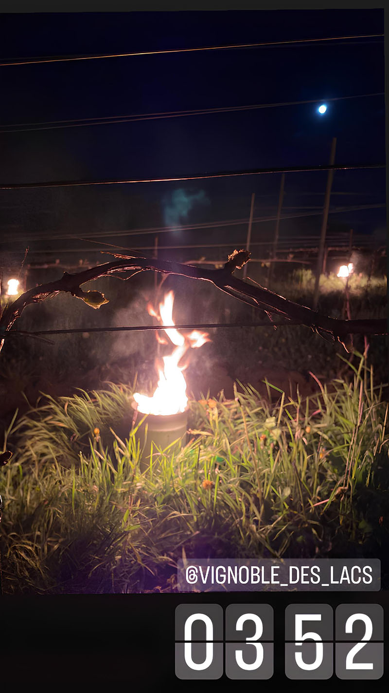 Un feu allumé dans le vignoble au milieu de la nuit, vers 3h52 du matin, pour protéger les vignes du gel, sous un ciel sombre avec la lune visible en arrière-plan.